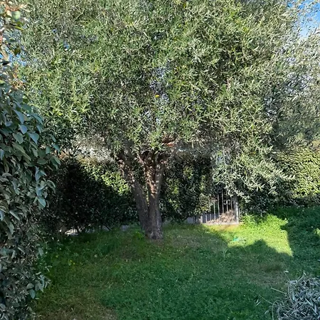 Blue Sea House בית נופש Agrustos